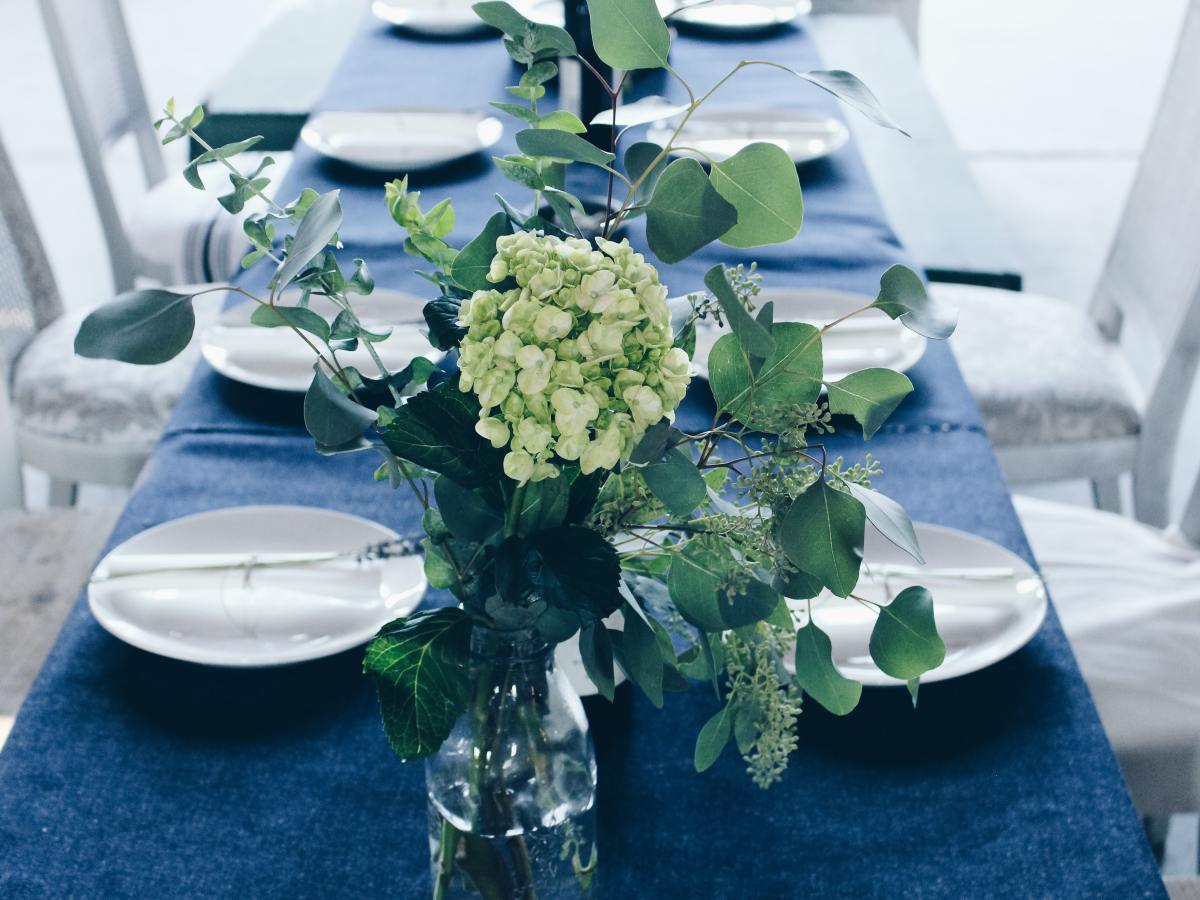 Emotional Self-Care for Vegans through the&nbsp;Holidays