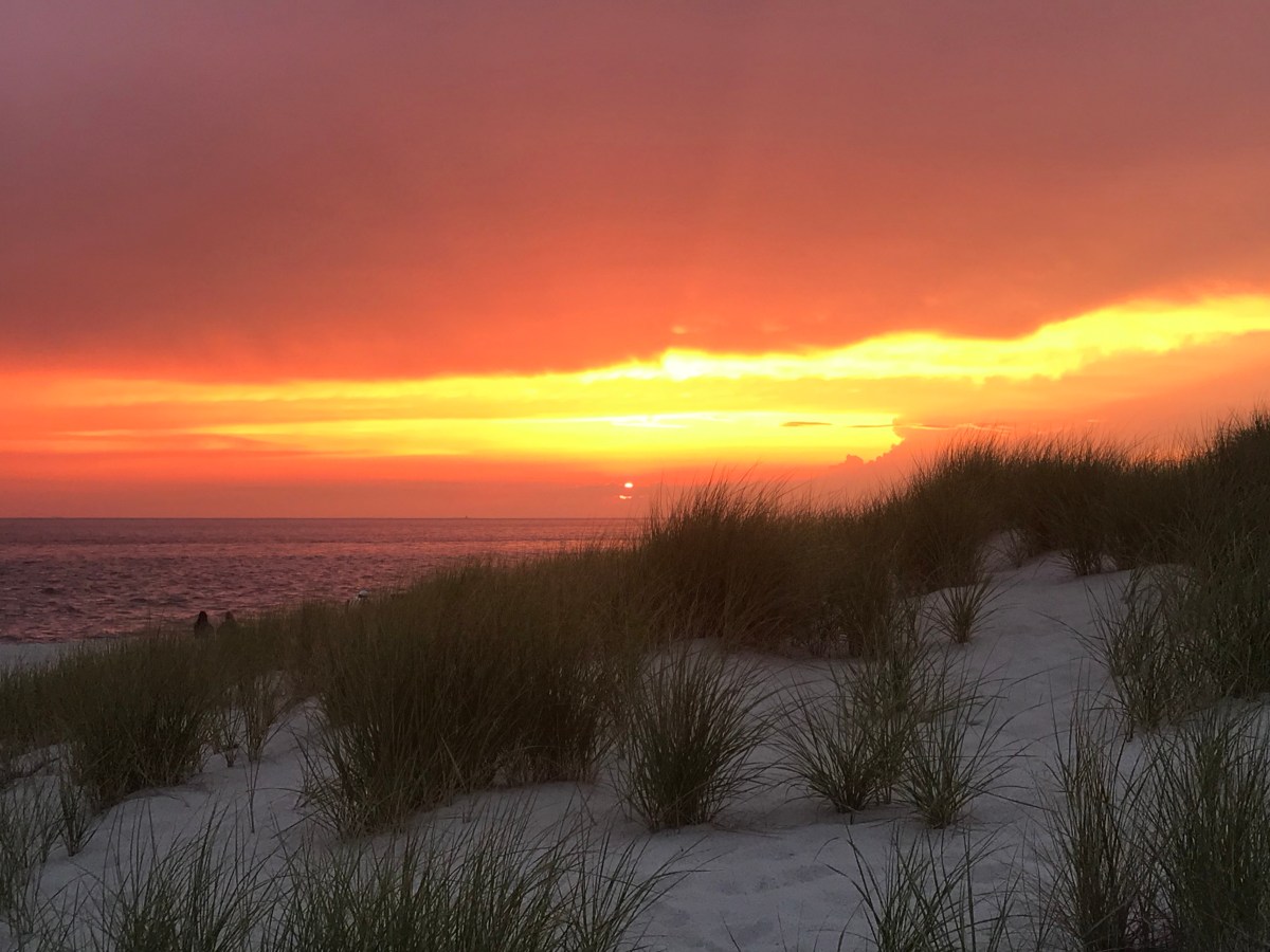 5 Ways Veganism Transformed My&nbsp;Life